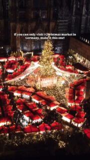 Of all the German Christmas markets we’ve been, the Cologne one is our absolute favorite! Set against the backdrop of the iconic cathedral, it’s got something special that makes the festive season feel particularly magical.✨
 Twinkling lights reflect off wooden chalets, church bells echo through the square, and the air is filled with the scent of cinnamon, roasted chestnuts, and warm Glühwein. It’s lively, cozy, and unmistakably Christmassy.

📅 When: Nov 25 – Dec 23, 2025 ⏰ Hours: Daily from late morning until around 21:00 | Later on weekends

🎄 What makes it so special:  • The magical Cologne Cathedral market, with fairy lights stretching across the square and carols playing in the background ⛪✨
 • Endless festive treats: Reibekuchen, sausages, chocolate-dipped fruits, and mugs of Glühwein to warm your hands 🍷
 • Live music, choirs, and performances that fill the air with holiday cheer 🎶
 • All kinds of gifts and German woodwork on sale. 🎁

✨ Don’t miss this: Wander between markets, collect a souvenir mug, and linger longer than planned. Cologne does Christmas big — and it’s impossible not to get swept up in the magic.

Save this reel for your festive Europe plans 🎄🤍

👋Hi! I’m Nellie, a travel writer and adventurous mum. I share all I’ve learned about digital nomad family travel here. So glad you’re here! 🌏 

#travelfamily #livingabroad #worldschooling #familytravel #learningeverywhere #travelwithkids #digitalnomadfamily #familytravel#familyadventures #digitalnomads #christmasmarkets #germanchristmasmarket #germanyinwinter
