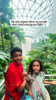 Have you been? ✈️🌊🇸🇬 Part of the fun of going home to Singapore is flying into Changi Airport!

World’s biggest indoor waterfall, rooftop pool, butterfly park, canopy park… it’s all at the Changi Airport. I honestly don’t think there’s another airport more fun than Changi.

Much of the fun is concentrated in Jewel, a mall attached to the Singapore Changi Airport just outside arrivals hall in T1. You actually don’t have to be catching a flight to hang out at Jewel.

Seriously there’s so much to see and experience at Changi Airport, I highly recommend getting to the airport early for your flight!

📍Singapore Changi Airport 

👋Hi! I’m Nellie, a travel writer and adventurous mum. I share all I’ve learned about digital nomad family travel here. So glad you’re here! 🌏

Singapore with kids | Visit Singapore | Jewel Singapore | Singapore Changi Airport | #digitalnomadfamily #singaporewithkids #jewelsingapore #changiairport