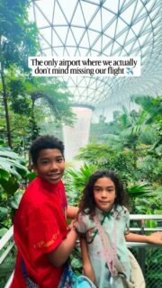 Have you been? ✈️🌊🇸🇬 Part of the fun of going home to Singapore is flying into Changi Airport!

World’s biggest indoor waterfall, rooftop pool, butterfly park, canopy park… it’s all at the Changi Airport. I honestly don’t think there’s another airport more fun than Changi.

Much of the fun is concentrated in Jewel, a mall attached to the Singapore Changi Airport just outside arrivals hall in T1. So you actually don’t have to be catching a flight to hang out at Jewel.

Seriously there’s so much to see and experience at Changi Airport, I highly recommend getting to the airport early for your flight!

📍Singapore Changi Airport 

👋Hi! I’m Nellie, a travel writer and adventurous mum. I share all I’ve learned about digital nomad family travel here. So glad you’re here! 🌏

Singapore with kids | Visit Singapore | Jewel Singapore | Singapore Changi Airport | #digitalnomadfamily #singaporewithkids #jewelsingapore #singaporejewel #singaporeairport