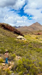 Week 4 in Cape Town was a full one — classes, work and activities — but the best part was escaping to the Klein Karoo for a weekend in the wilderness. ✨

We drove just three hours from the city for a glamping weekend in the Elements tent at @huizen.living, surrounded by dramatic reddish cliffs and clear blue skies. 🏕️🏜️🌵

We woke up to baboons right outside our tent, antelopes drinking at the waterhole, and dassies everywhere. Days were for hikes, dips in the hot tub and playing Jenga, nights were for stargazing (with shooting stars!). 🌌🔭✨

Exactly the reset we needed after a busy week — and a reminder of how close wilderness is to Cape Town.

👋 Hi! I’m Nellie, a travel writer and adventurous mum. I share all I’ve learned about digital nomad family travel here. So glad you’re here! 🌏 

 #travelfamily #livingabroad #worldschooling #familytravel #learningeverywhere #travelwithkids #digitalnomadfamily #familytravel#familyadventures #capetowndiaries #livingincapetown #capetownwithkids