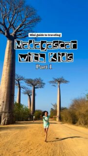 Madagascar is the rawest, most rewarding adventure you can give a child, but it definitely comes with its challenges with political instability and poor infrastructure.

[‼️Comment MADA for a link to my free guide to Madagascar with kids.] 

🌎How we did it: 

We divided our trip into 2 parts: the first half was spent exploring Western Madagascar. This is home to the iconic Avenue du Baobabs and Tsingy de Bemahara. Many people skip this part due to be bad roads and head straight to Nosy Be, which is such a shame. This is our favorite part of Madagascar! 

✈️ Domestic flights in Madagascar:

Since roads are so bad, flying is the easiest way to get around the country. Madagascar Airlines is reputed for being unreliable but we didn’t have any flight cancelled.

Domestic flights are not cheap though: our Antananarivo-Morondava return flights were €223 per person and Antananarivo-Nosy Be return flights were €323pp. All flights go through the capital. 

🚙How we got around:

Only 4% of Madagascar has paved roads; so prepare for long bumpy drives. We booked a 4x4 rental with driver for €80/day from @remoterivers (much cheaper than booking a tour). Self-drive is not recommended as it’s extremely challenging to navigate the roads here.

🐒 Wildlife parks:

At nature reserves and national parks, local guides are included in the entry fee. It’s a great way to learn more fun facts about lemurs and other wildlife. The guides are usually very knowledgeable and informative.

🛣️ Route/Itinerary:

Honestly we didn’t see many families in this part of Madagascar. But I’m a firm believer that kids can do hard things! 💪 Expect to have long driving days (8hours) — bring books, power banks, and lots of snacks! Be sure to pack dramamine if your kids get car sick.

⚠️ Follow for Part 2!!!

👋 Hi! I’m Nellie, a travel writer and adventurous mum. I share all I’ve learned about digital nomad family travel here. So glad you’re here! 🌏 

Madagascar with kids | madagascar travel | worldschooling #madagascartravel #madagascarwithkids