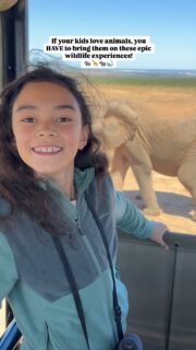 Ethical Wildlife Experiences That Will Change Your Kid’s Life ✨

🐋 Getting upclose to a whale in Mexico
 When a gray whale swims up to your boat and your child reaches out to touch its barnacle-covered skin, she’s having an incredible connection with one of the largest creatures on Earth.

🐢 Releasing baby turtles in Mexico
 Imagine your kid holding a baby turtle with a coconut nutshell, releasing it on the beach and watching it make its way into the sea at sunset. It teaches the importance of ethical animal encounters.

🦦 Swimming with manatees in Florida 
 Gliding alongside these slow, gentle sea cows shows kids that not all adventures need adrenaline — sometimes wonder comes in the calm.

 🦁 See the Big Five in Masai Mara, Kenya
 Hearing a lion’s roar at sunrise or spotting a giraffe in the distance makes the pages of their storybooks come alive in the most unforgettable way.

🐒 Spot wild meerkats in South Africa 
Just outside of Oudtshoorn, we huddled together in the bush veld of De Zeekoe reserve and waited patiently for the meerkats to rise from their slumber. With the sky painted in soft sunrise hues, we sat quietly as they began to emerge — one by one — from their burrows, blinking at the new day. 

👣 See lemurs in Madagascar  
Madagascar is the only place in the world where you can find wild lemurs, with over 117 species inhabiting the country. It’s easy to find sifakas and brown lemurs roaming wild especially in Kirindy Forest near the Avenue du Baobab.

Would you try any of these with your family?

👋 Hi! I’m Nellie, a travel writer and adventurous mum. I share all I’ve learned about digital nomad family travel here. So glad you’re here! 🌏 

Wildlife travel | digital nomad family | wildlife with kids | travel with kids | family travel | family adventures | best wildlife experiences