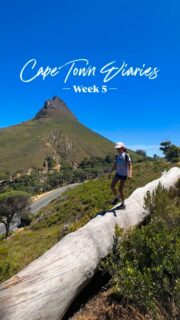 Cape Town Diaries – Week 5 🎄✨

December is finally here, which means advent calendars, summer sunshine, and all the festive fun Cape Town brings this time of year. We kicked off the week with a beach day with friends and a visit to the Christmas fair, where ice sliding turned out to be a huge hit.

The weekend surprised us too — a family hike that turned into a full-on geocaching adventure. Five hidden treasures later, hiking has suddenly become a lot more appealing. 😉

We wrapped up the week with a magical kayak trip in the (very!) icy Atlantic, spotting penguins and dolphins gliding right beside us.

Feeling grateful for another beautiful, adventure-filled week in the Mother City. 💛🌊✨

👋 Hi! I’m Nellie, a travel writer and adventurous mum. I share all I’ve learned about digital nomad family travel here. So glad you’re here! 🌏 

 #travelfamily #livingabroad #worldschooling #familytravel #learningeverywhere #travelwithkids #digitalnomadfamily #familytravel #livingincapetown #capetowndiaries #capetownwithkids