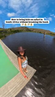 Having been in South Africa 🇿🇦 for 6 months now, one thing we’ve learned is that you don’t need to spend thousands on a pricey safari lodge to bring your kids on a dreamy wildlife safari. 

Along South Africa’s Garden Route, we booked a day game drive at @botlierskopgamereserve — without staying at the lodge — and it turned out to be a great safari experience.

Botlierskop was founded by retired wildlife veterinarian Dr. Dirk Neethling, who’s passionate about conservation and wildlife. He spent years integrating wildlife with sustainable practices like building around existing trees.

The game drive itself was fantastic: cruising in an open 4x4, spotting wildlife up close, and learning so much from an expert ranger who kept everyone fully engaged. We spotted elephants right at the start, then herds of rhinos, kudus, zebras, towers of giraffes and even hippos. 🦛🦒🦓

Of course this is still a reserve after all, so you’ll still see fences. The predators aren’t fed though and there’s minimal interference. For the little ones, game drives in a reserve are more fun as you’re spotting animals one after another — rather than doing long drives in national parks where it can be hard to spot animals.
 After the drive, we stayed for lunch at the lodge — amazing food, beautiful setting, and surprisingly great prices. Day visitors are allowed to use their facilities, so we spent the afternoon swimming in their stunning swimming pool, set right on the natural lake, with animals wandering nearby while you swim. 

Our kid loved the slides in the kids pool and we had a relaxing afternoon just enjoying the gardens, spotting rhinos and wildebeests in the distance. In total, we spent just over $100 for our family of three and had a great experience learning more about South African wildlife. 🐘🦒🦓

🎯 Big takeaway for families: Many private reserves allow non-guests to book game drives — and often enjoy lodge facilities too.
#gardenroute #safariwithkids #familysafari #southafricawithkids